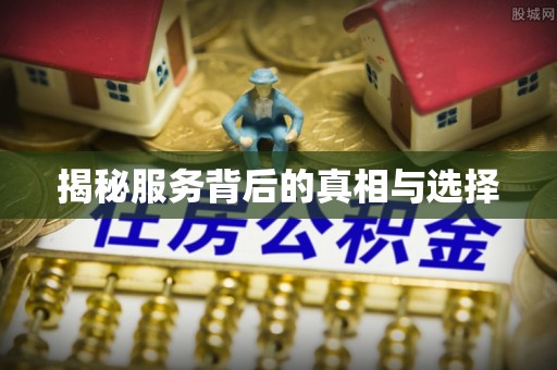 玉树揭秘服务背后的真相与选择