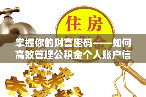 玉树掌握你的财富密码——如何高效管理公积金个人账户信息