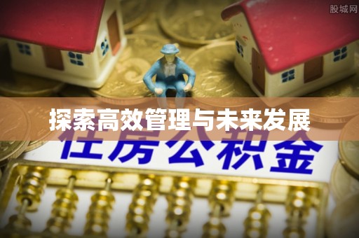 玉树探索高效管理与未来发展