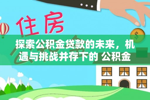 玉树探索公积金贷款的未来，机遇与挑战并存下的 公积金贷款风险防控