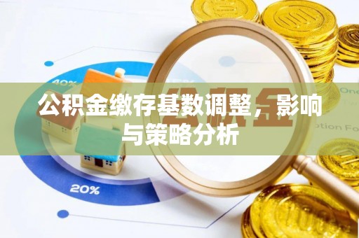 玉树公积金缴存基数调整，影响与策略分析