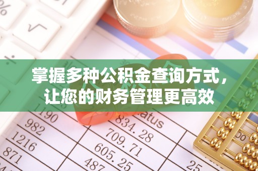 玉树掌握多种公积金查询方式，让您的财务管理更高效