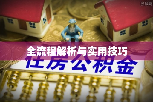 玉树全流程解析与实用技巧