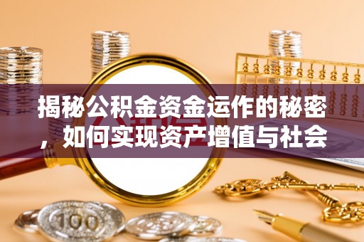 玉树揭秘公积金资金运作的秘密，如何实现资产增值与社会福利双赢？