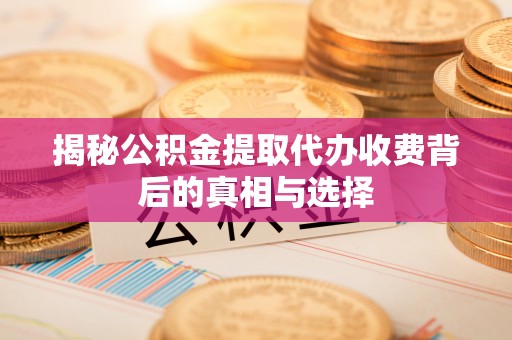 玉树揭秘公积金提取代办收费背后的真相与选择
