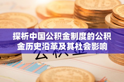玉树探析中国公积金制度的公积金历史沿革及其社会影响