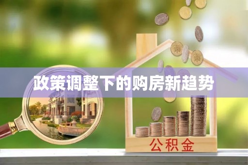 玉树政策调整下的购房新趋势