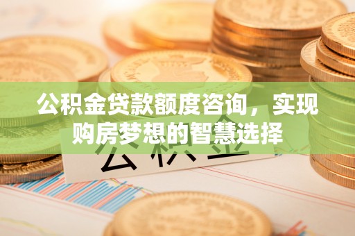 玉树公积金贷款额度咨询，实现购房梦想的智慧选择