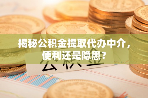 玉树揭秘公积金提取代办中介，便利还是隐患？