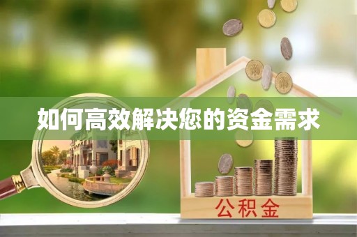 玉树如何高效解决您的资金需求