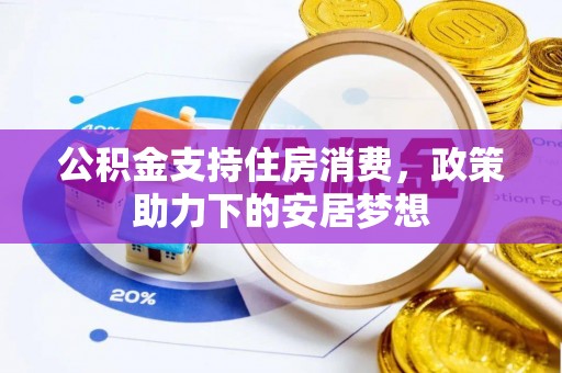 玉树公积金支持住房消费，政策助力下的安居梦想