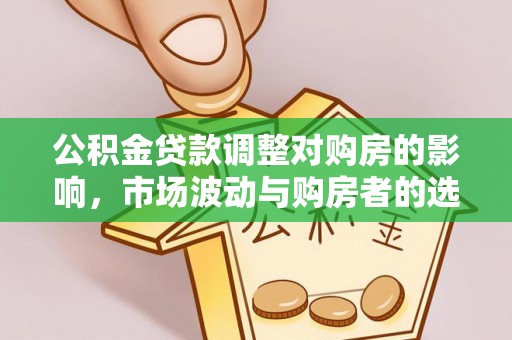玉树公积金贷款调整对购房的影响，市场波动与购房者的选择