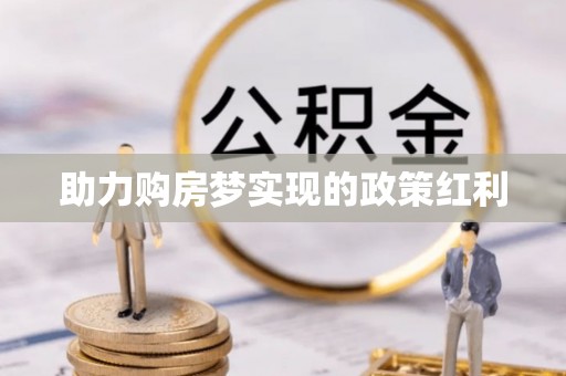 玉树助力购房梦实现的政策红利