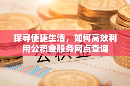 玉树探寻便捷生活，如何高效利用公积金服务网点查询