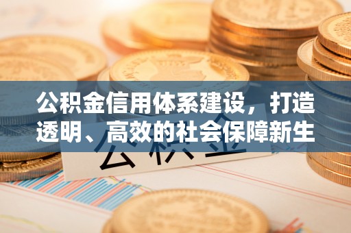 玉树公积金信用体系建设，打造透明、高效的社会保障新生态