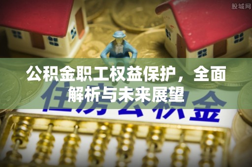 玉树公积金职工权益保护，全面解析与未来展望
