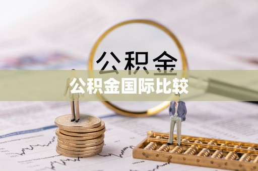 玉树公积金国际比较