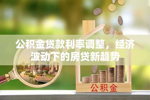 玉树公积金贷款利率调整，经济波动下的房贷新趋势