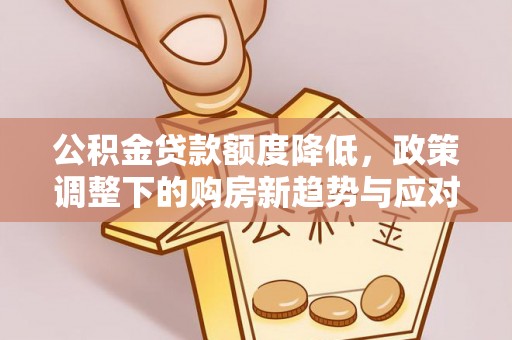 玉树公积金贷款额度降低，政策调整下的购房新趋势与应对策略