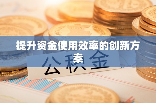 玉树提升资金使用效率的创新方案