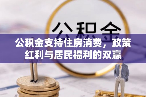 玉树公积金支持住房消费，政策红利与居民福利的双赢
