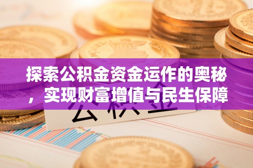 玉树探索公积金资金运作的奥秘，实现财富增值与民生保障