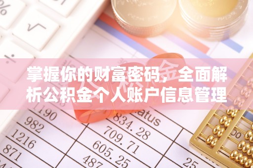 玉树掌握你的财富密码，全面解析公积金个人账户信息管理