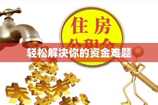 玉树轻松解决你的资金难题