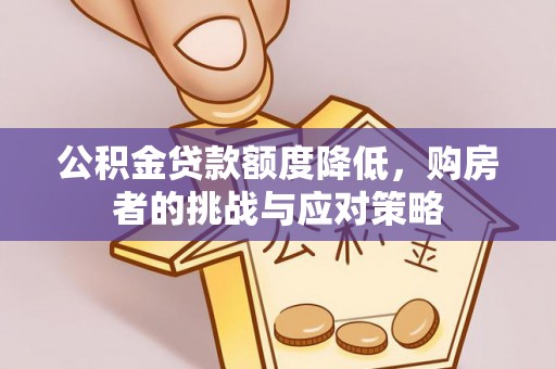 玉树公积金贷款额度降低，购房者的挑战与应对策略