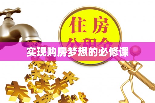 玉树实现购房梦想的必修课