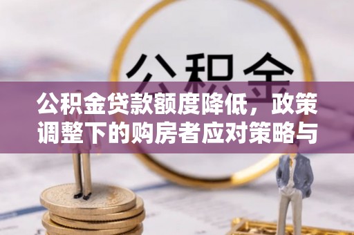 玉树公积金贷款额度降低，政策调整下的购房者应对策略与未来趋势