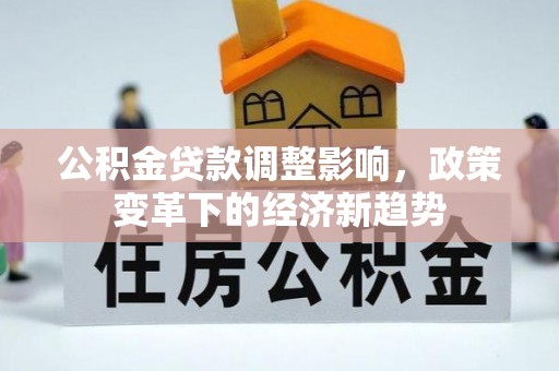 玉树公积金贷款调整影响，政策变革下的经济新趋势
