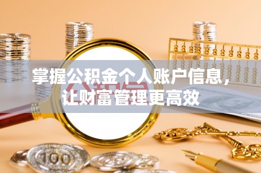 玉树掌握公积金个人账户信息，让财富管理更高效