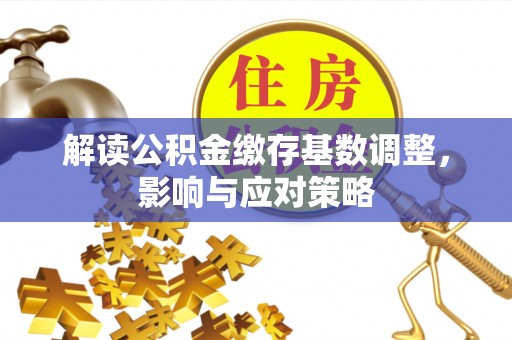 玉树解读公积金缴存基数调整，影响与应对策略