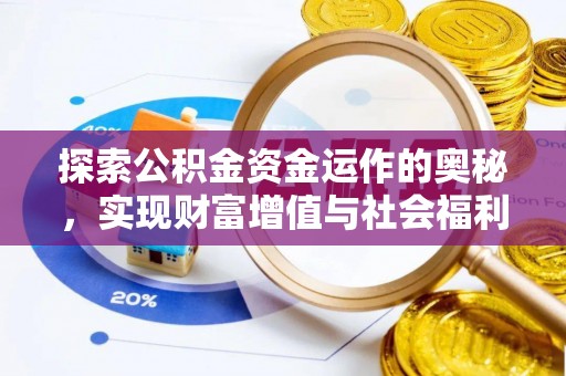 玉树探索公积金资金运作的奥秘，实现财富增值与社会福利双赢
