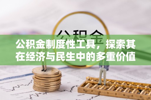 玉树公积金制度性工具，探索其在经济与民生中的多重价值