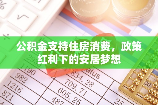 玉树公积金支持住房消费，政策红利下的安居梦想