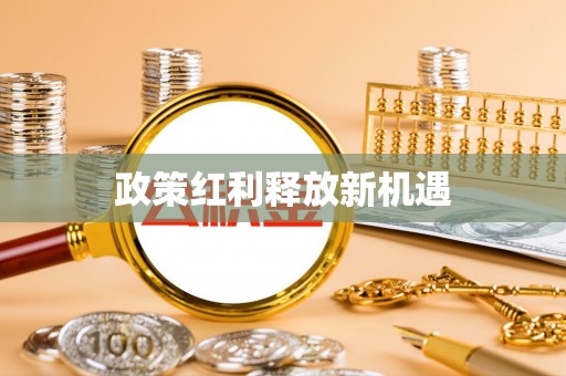 玉树政策红利释放新机遇