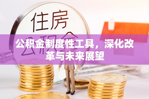 玉树公积金制度性工具，深化改革与未来展望