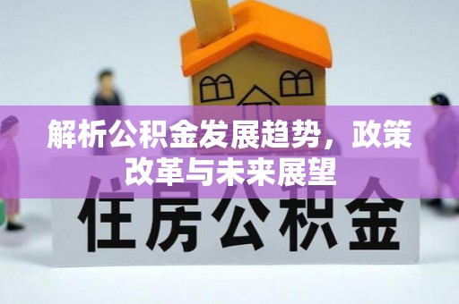 玉树解析公积金发展趋势，政策改革与未来展望