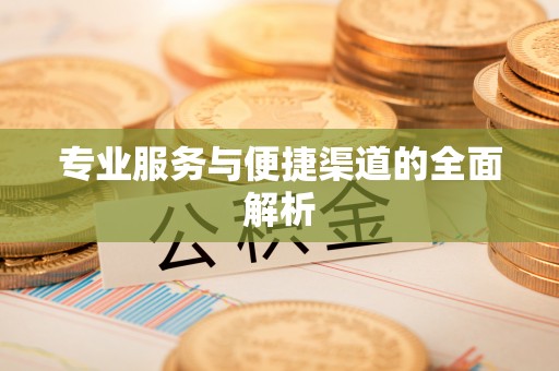 玉树专业服务与便捷渠道的全面解析