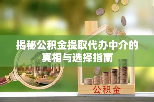 玉树揭秘公积金提取代办中介的真相与选择指南
