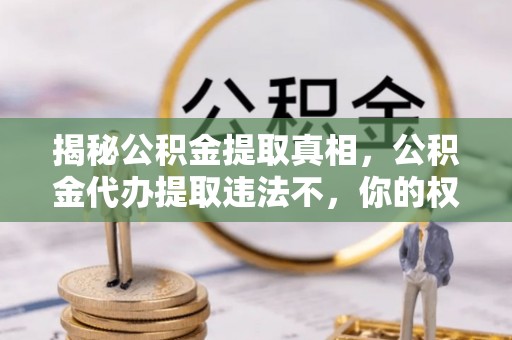 玉树揭秘公积金提取真相，公积金代办提取违法不，你的权益如何保障？