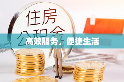 玉树高效服务，便捷生活