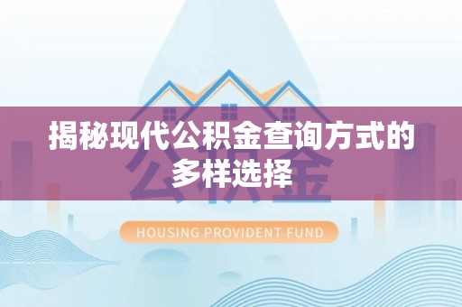 玉树揭秘现代公积金查询方式的多样选择