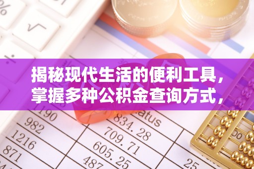 玉树揭秘现代生活的便利工具，掌握多种公积金查询方式，让财富管理更轻松