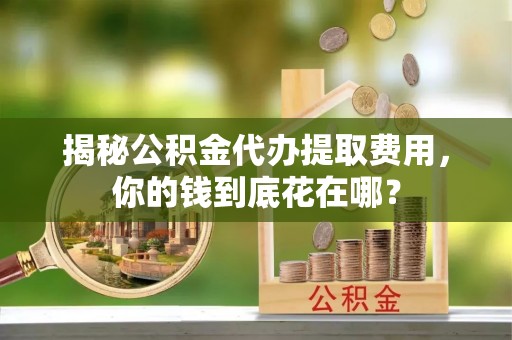 玉树揭秘公积金代办提取费用，你的钱到底花在哪？