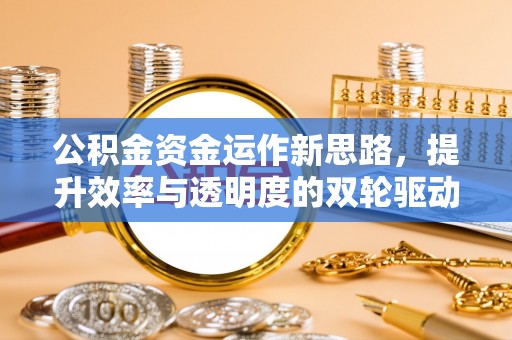 玉树公积金资金运作新思路，提升效率与透明度的双轮驱动