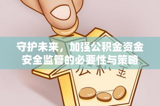 玉树守护未来，加强公积金资金安全监管的必要性与策略