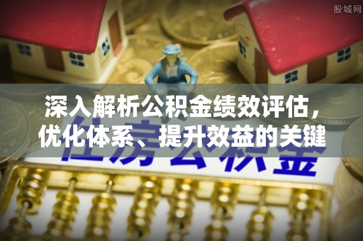 玉树深入解析公积金绩效评估，优化体系、提升效益的关键路径